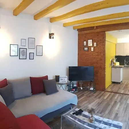 Maison Charmante Avec Jardin Centre-ville Proche Puy Du Fouu Arrivee Autonome *