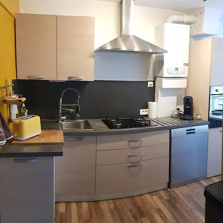 Maison Charmante Avec Jardin Centre-ville Proche Puy Du Fouu Arrivee Autonome בית נופש