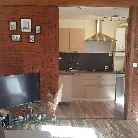 Maison Charmante Avec Jardin Centre-ville Proche Puy Du Fouu Arrivee Autonome