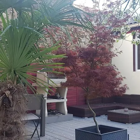 Maison Charmante Avec Jardin Centre-ville Proche Puy Du Fouu Arrivée Autonome