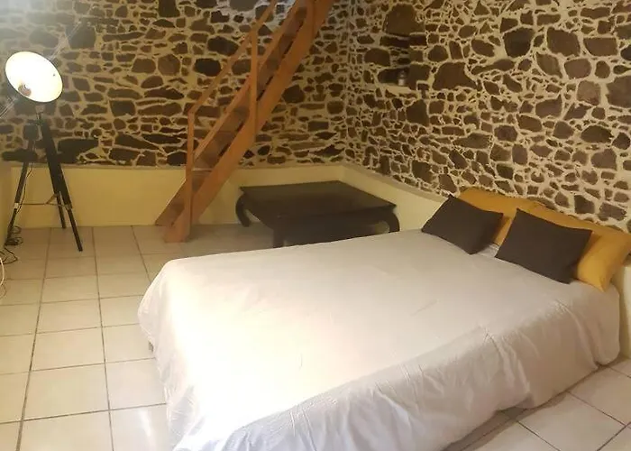 Maison Charmante Avec Jardin Centre-ville Proche Puy Du Fouu Arrivee Autonome