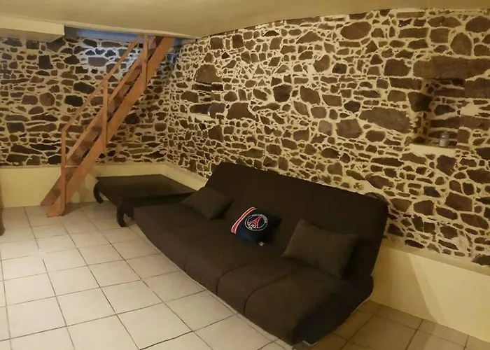 Maison Charmante Avec Jardin Centre-ville Proche Puy Du Fouu Arrivee Autonome 度假居