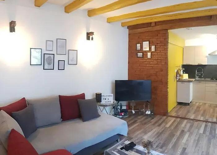 Maison Charmante Avec Jardin Centre-ville Proche Puy Du Fouu Arrivee Autonome *