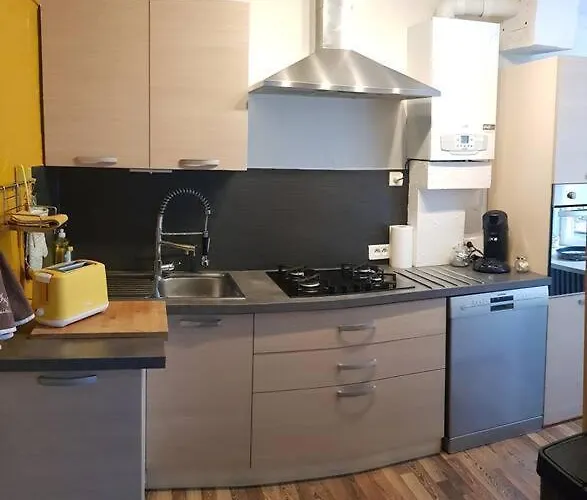 Maison Charmante Avec Jardin Centre-ville Proche Puy Du Fouu Arrivee Autonome 度假居