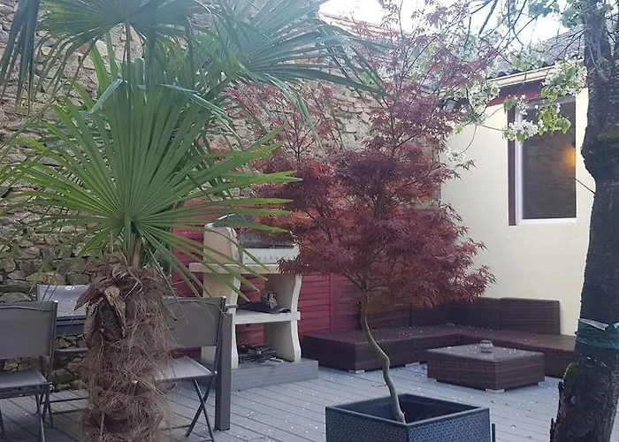 Maison Charmante Avec Jardin Centre-ville Proche Puy Du Fouu Arrivee Autonome